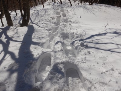 自分だけのトレースを刻みづんづん行く