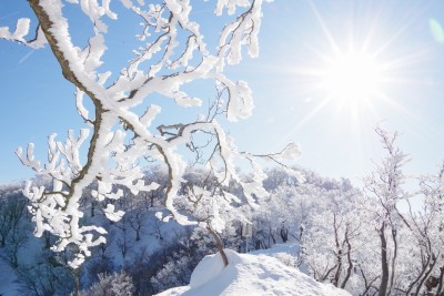 この日の2日前、18日にも表参道からピストンしていたんです。そのときに気になった水無山と竜王山をねらって再度20日に来たのでした・・・