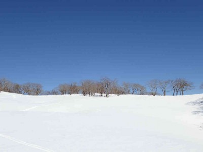 P1210082.jpg (29.48 KiB) 閲覧された回数 2442 回 テーブルランド