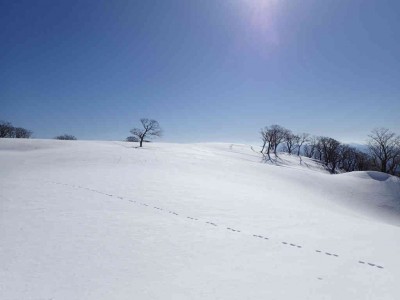 P1210083.jpg (31.54 KiB) 閲覧された回数 2442 回 テーブルランド