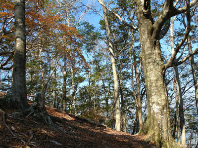 IMG_4308.jpg (1001.22 KiB) 閲覧された回数 7929 回 秋の気配