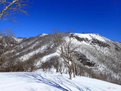 土倉岳から御池テーブルランドを望む
