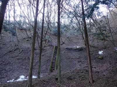 sP1250004.jpg (131.4 KiB) 閲覧された回数 2306 回 犬帰谷左岸尾根取り付き