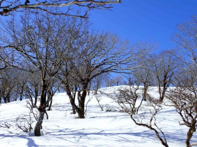 sP1250027.jpg (133.37 KiB) 閲覧された回数 2306 回 県境尾根