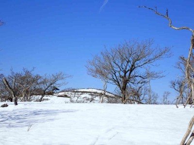 sP1250033.jpg (63.9 KiB) 閲覧された回数 2306 回 県境尾根から鈴北岳を望む