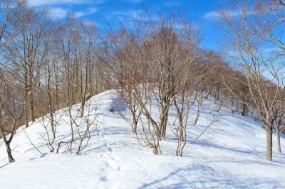 IMG_9171.jpg (783.93 KiB) 閲覧された回数 4397 回 トガス山頂