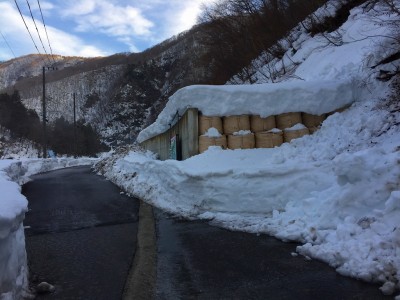 IMG_3559.jpg (628.94 KiB) 閲覧された回数 4397 回 新しい道?