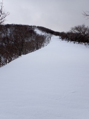 お藤の鼻筋　1本目