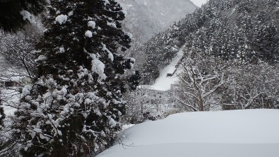 P1310357.jpg (454.28 KiB) 閲覧された回数 3629 回 平坦地から発電所を見下ろす