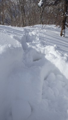 P1310406.jpg (279.47 KiB) 閲覧された回数 3630 回 ラッセル跡を振り返る