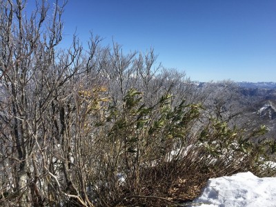 IMG_4600.jpg (443.33 KiB) 閲覧された回数 3279 回 やせ尾根