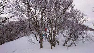 16121874839793(樹氷） - コピー.jpg