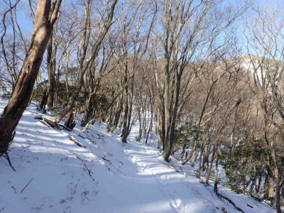 P2050009.jpg (125.09 KiB) 閲覧された回数 3127 回 遠足尾根