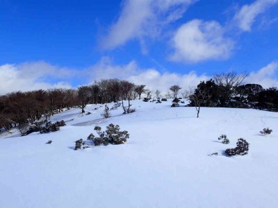 P2050012.jpg (48.53 KiB) 閲覧された回数 3127 回 遠足尾根の雪原