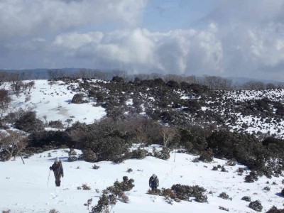 P2050019.jpg (72.92 KiB) 閲覧された回数 3130 回 山であった女性