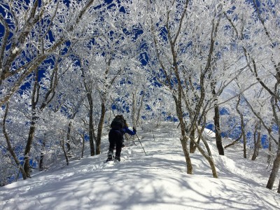 IMG_3750.jpg (867.86 KiB) 閲覧された回数 1803 回 霧氷尾根