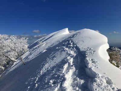 IMG_6651.jpg (614.45 KiB) 閲覧された回数 1798 回 花房山山頂