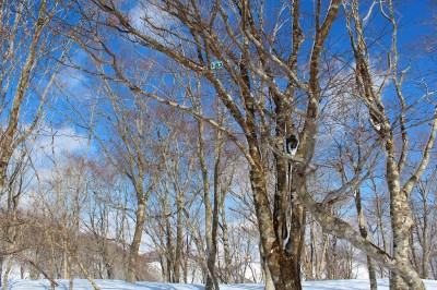 IMG_9364.jpg (879.62 KiB) 閲覧された回数 2746 回 トガス