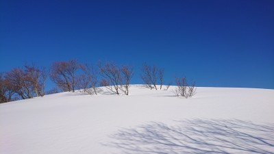 16127999026373(光と影） - コピー.jpg