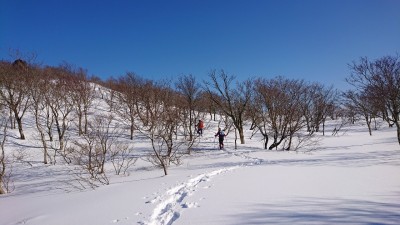 16133114484650(森２） - コピー.jpg