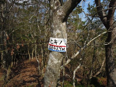 ヒキノ.JPG (212.04 KiB) 閲覧された回数 4118 回 ヒキノ