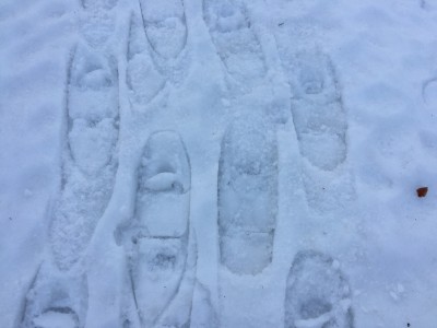 スノーシュー跡