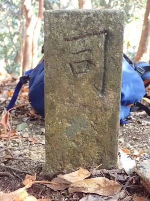 P2110050.JPG (242.4 KiB) 閲覧された回数 1763 回 神宮司庁の境界杭