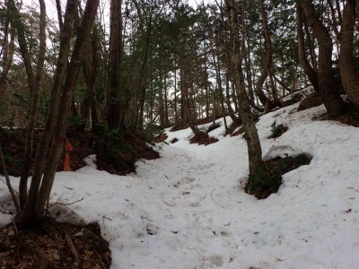 P2120002.jpg (92.22 KiB) 閲覧された回数 2367 回 登山口付近