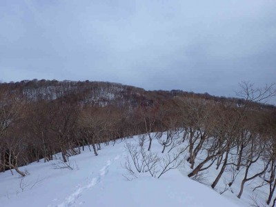 P2120007.jpg (57.01 KiB) 閲覧された回数 2365 回 標高800m付近