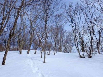 P2120013.jpg (127.04 KiB) 閲覧された回数 2366 回 極上の稜線歩き