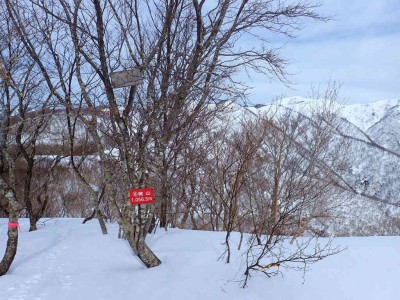 P2120018.jpg (125.25 KiB) 閲覧された回数 2366 回 奥山