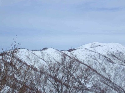 P2120024.jpg (68.74 KiB) 閲覧された回数 2366 回 花房尾上部