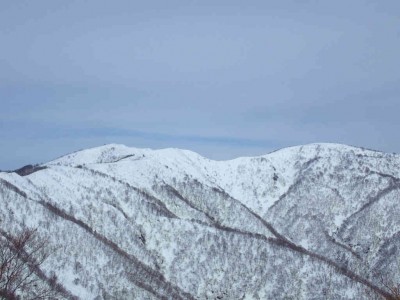 P2120029.jpg (56.84 KiB) 閲覧された回数 2366 回 左:白倉岳 右:金糞岳