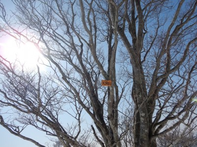 ４メートル位の位置にプレート