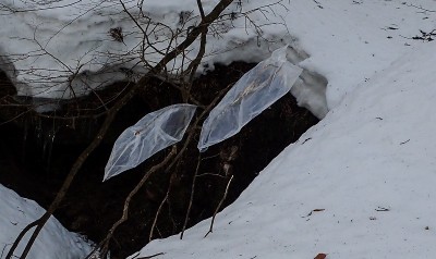 P2278303.jpg (116.66 KiB) 閲覧された回数 3215 回 干しておいた秘密兵器