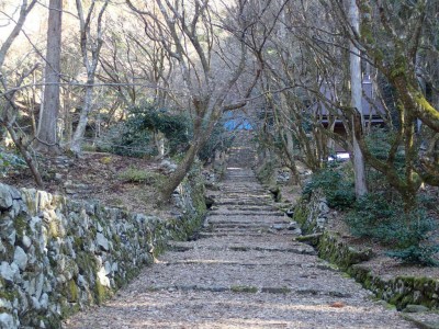 P2250006.jpg (128.54 KiB) 閲覧された回数 2867 回 鶏足寺