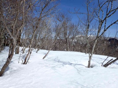 P2250030.jpg (99.46 KiB) 閲覧された回数 2864 回 頂上付近