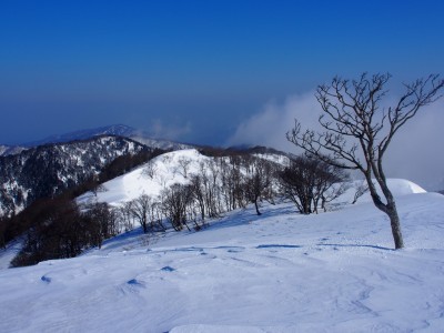 北峰からのさらに北の稜線