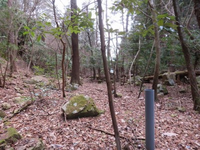 野間ＴＮ上の鞍部