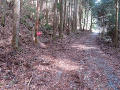 二又の右又　左が中間尾根