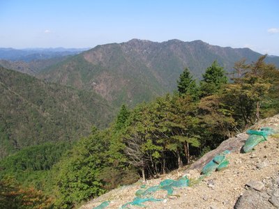 大台林道から見る父ケ谷高