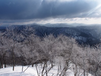 朝陽に輝く霧氷