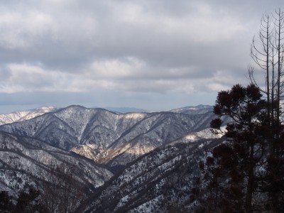 横山岳の東尾根より妙理山を望んで