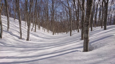 16147046224151(下谷川源流） - コピー.jpg