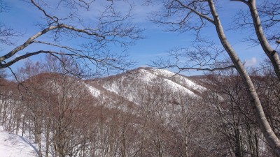 16148971161496(下谷山） - コピー.jpg