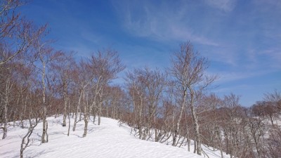 16147797135310(南尾根上部） - コピー.jpg