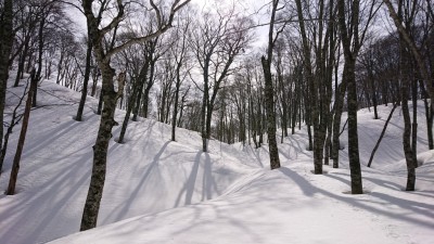 16147791212421(出合） - コピー.jpg