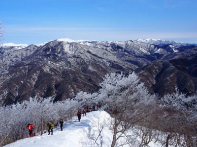 霧氷の尾根と白山、右に大日ヶ岳.jpg