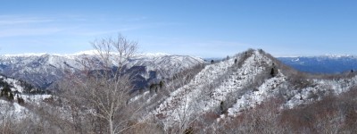 ここでランチをしたかった。