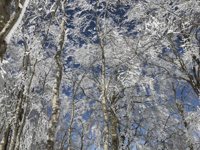 スノー衆2018パート4 堂ヶ辻山